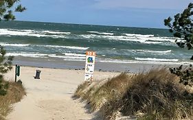 Finndorf Am Strand Mit Hund